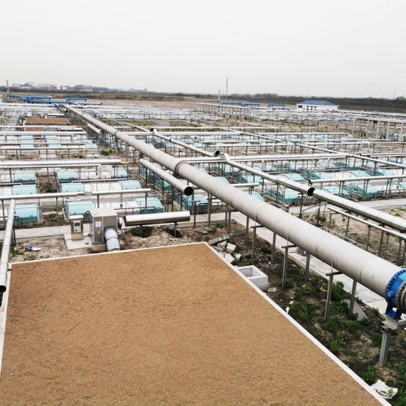 活性污泥對進水水質(zhì)有哪些要求？